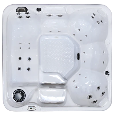 Hawaiian PZ-636L hot tubs for sale in Novosibirsk