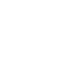 ce logo Novosibirsk